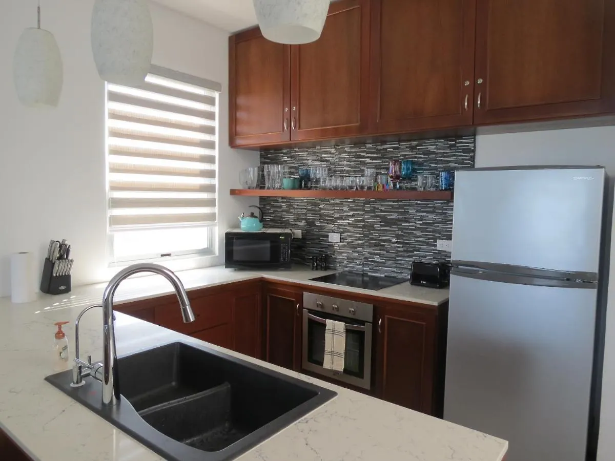 Riviera Maya Luxury Oceanfront Condo Akumal Mexico