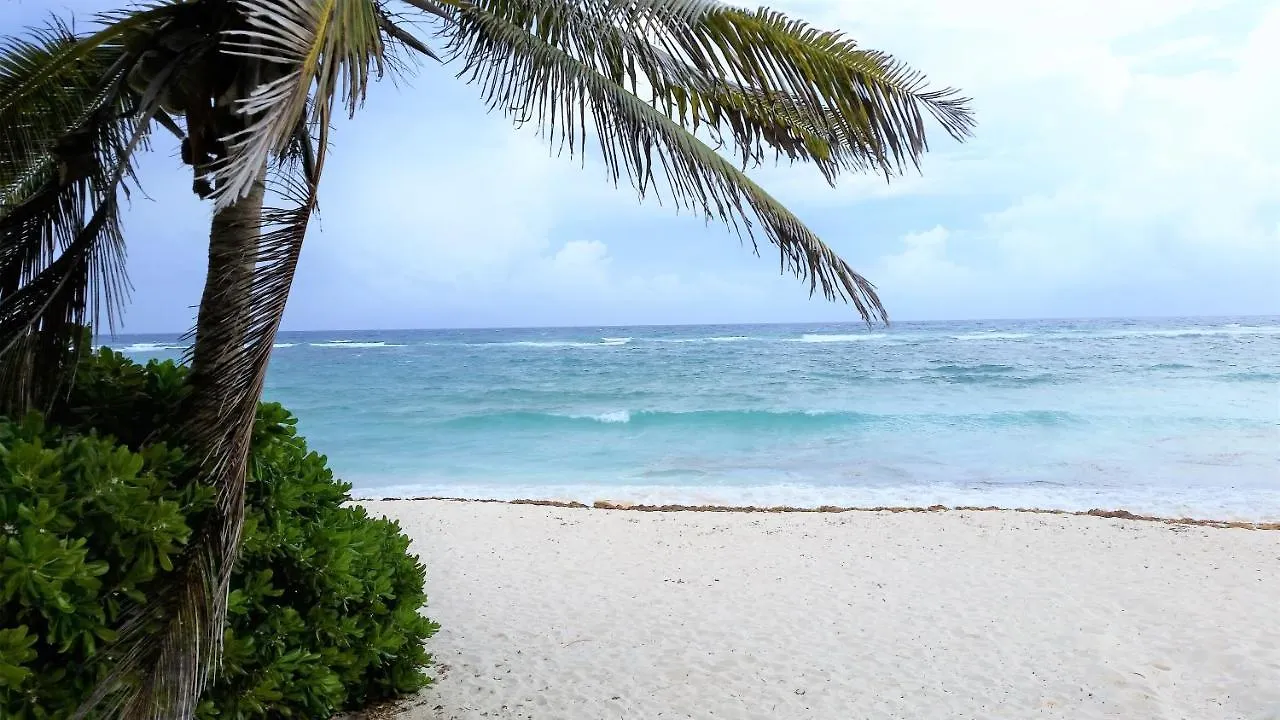Aparthotel Riviera Maya Luxury Oceanfront Condo Akumal